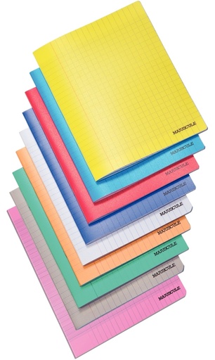 [P0174] brad 05 - Cahier A4 plastique SEYES 96 pages (incolore, gris, rouge, bleu, orange)